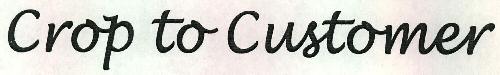 Crop To Customer Device mark 2309326 Trademark