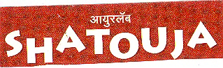 Shatouja Device mark 1711789 Trademark