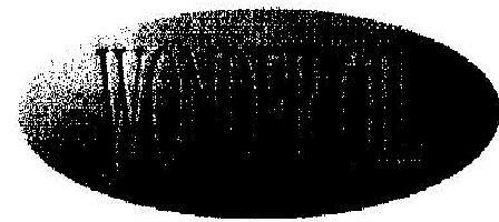 Wonder Oil Device mark 1885396 Trademark
