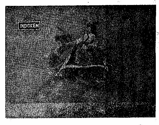 Indokem Device mark 217866 Trademark