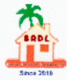 Brdl Device mark 2435399 Trademark