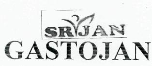 Srijan Gastojan(device) Device mark 2539982 Trademark