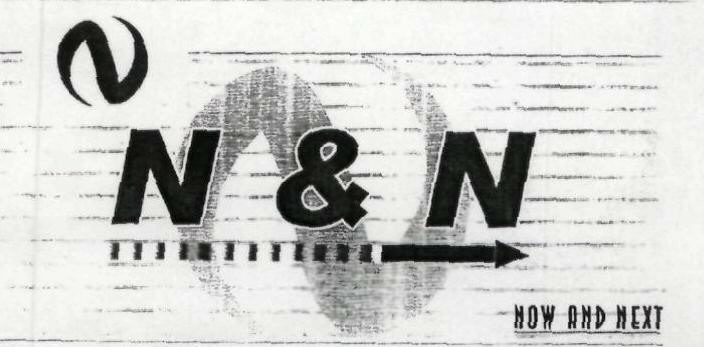 N & N Device mark 1833351 Trademark