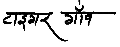 Tiger Gaugh Device mark 964738 Trademark