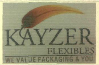 Kayzer Flexibles Device mark 2914269 Trademark