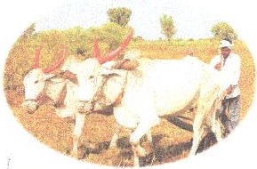 Device Of Farmer Device mark 1944432 Trademark