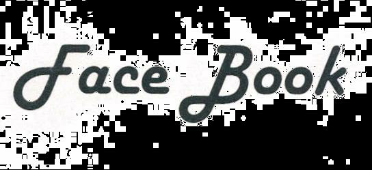 Face Book Device mark 2017117 Trademark
