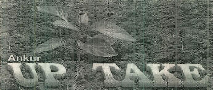 Ankur Up Take (device Of Leaves) Device mark 2419674 Trademark