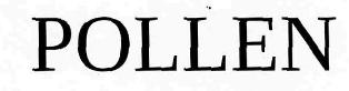 Pollen Device mark 2576249 Trademark