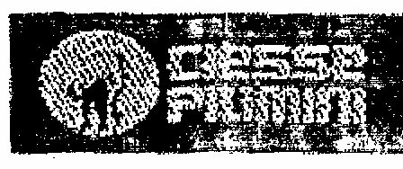 Ciesse Piumini Device mark 562042 Trademark