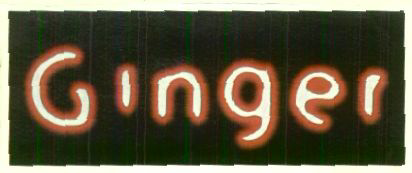 Ginger (label) Device mark 1443113 Trademark