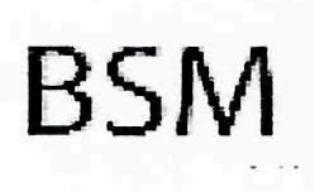 Bsm Device mark 2486275 Trademark