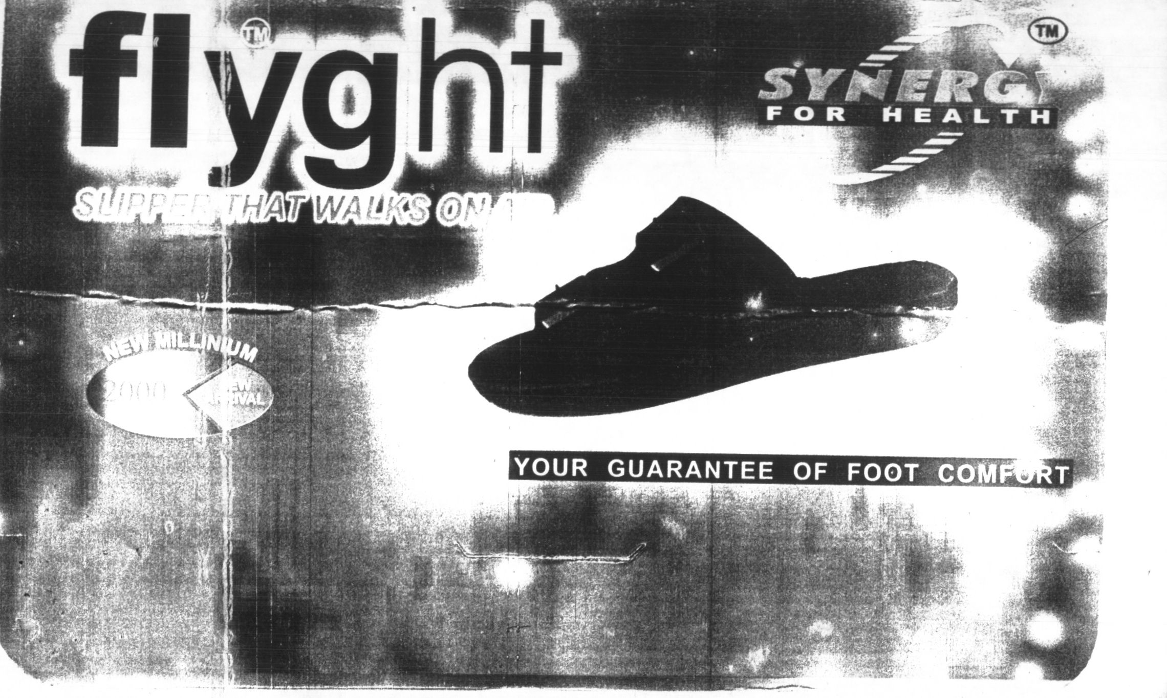 Flyght (label) Device mark 920444 Trademark