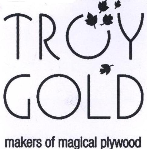 Troy Gold Makers Of Magical Plywood Device mark 2418509 Trademark