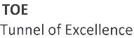 Toe, Tunnel Of Excellence Device mark 1895158 Trademark