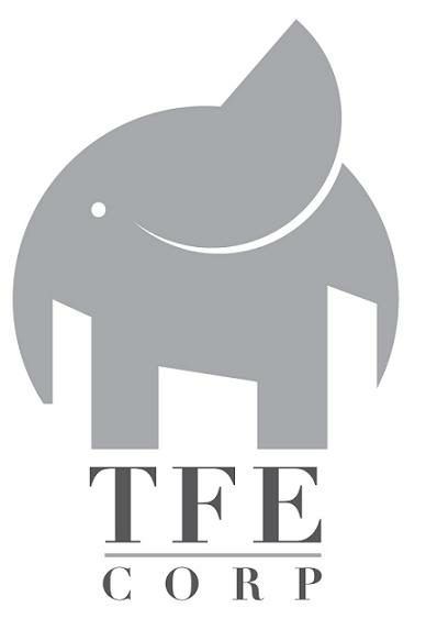 Tfe Corp Device mark 2745528 Trademark