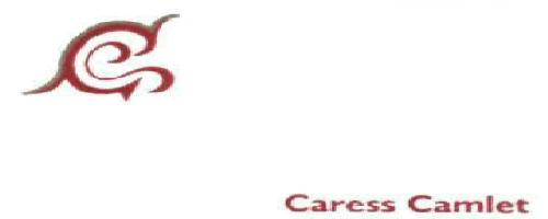 Caress Camlet Device mark 1990352 Trademark