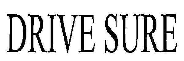 Drive Sure Device mark 2474466 Trademark