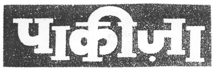 Pakiza (device) Device mark 1669454 Trademark