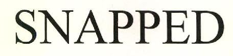 Snapped Device mark 2717770 Trademark