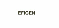 Efigen Device mark 1978122 Trademark