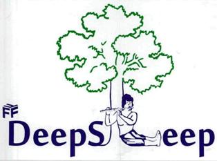 Deepsleep Device mark 2382378 Trademark