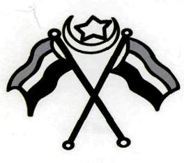 Device Of Flag, Moon & Star Device mark 2530810 Trademark
