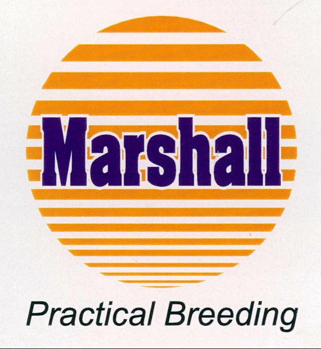 Marshall Practical Breeding Device mark 1973393 Trademark