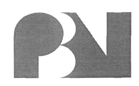 Pbn (device) Device mark 2406822 Trademark