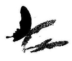 Buttuer Fly (with Device) Device mark 2022448 Trademark