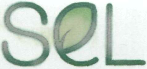 Sel Device mark 1931571 Trademark