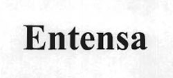 Entensa Device mark 1682163 Trademark