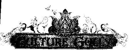 Gulture Gully Device mark 1995526 Trademark