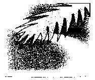 Device Of Leaf Device mark 819775 Trademark