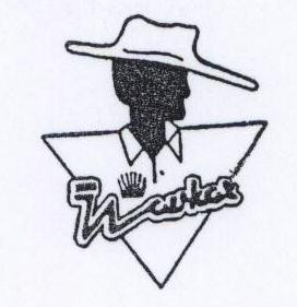 Device Device mark 1795007 Trademark
