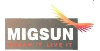 Migsun Device mark 2883020 Trademark