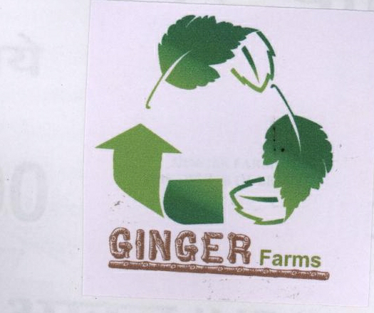 Ginger Farms Device mark 1963965 Trademark
