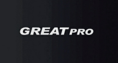 Great Pro Device mark 2655201 Trademark