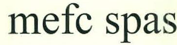 Mefc Spas Device mark 2614290 Trademark