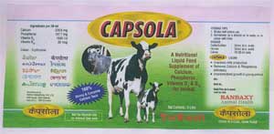 Capsola Device mark 1894066 Trademark