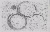 Misc, Geom(device) Device mark 910506 Trademark