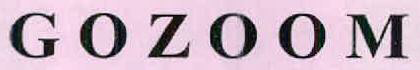 Gozoom Device mark 2601068 Trademark