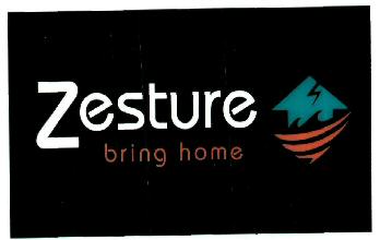 Zesture Bring Home Device mark 2888229 Trademark