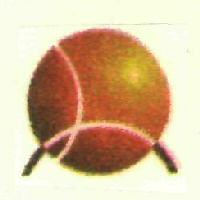Label Device mark 2570003 Trademark