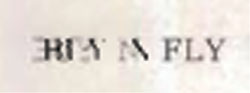 Buy N Fly Device mark 731740 Trademark