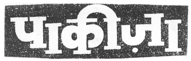 Pakiza (device) Device mark 1669449 Trademark
