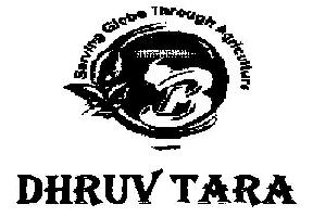 Dhruv Tara (logo) Device mark 2541181 Trademark