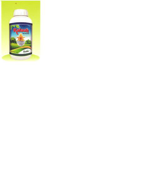 Kalash (label) Device mark 2567578 Trademark