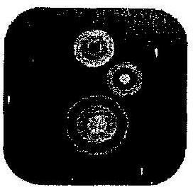 Device Device mark 2053090 Trademark