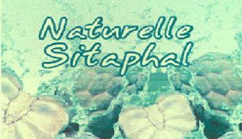 Naturelle Sitaphal (device Of Custard Apple) Device mark 2306098 Trademark